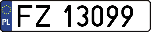 FZ13099