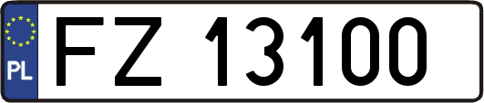 FZ13100