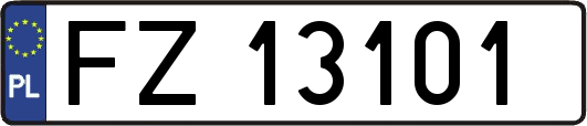 FZ13101