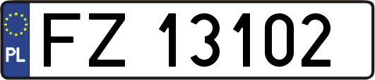 FZ13102