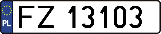 FZ13103