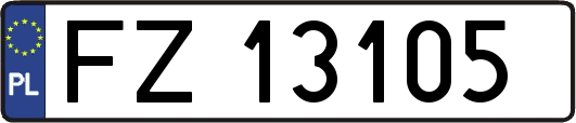 FZ13105