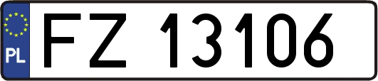 FZ13106