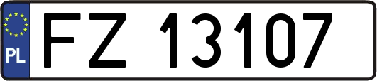 FZ13107