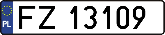FZ13109