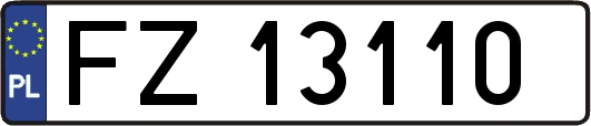 FZ13110
