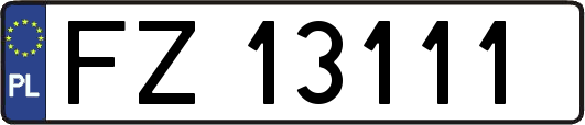 FZ13111