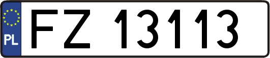 FZ13113