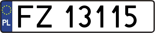 FZ13115