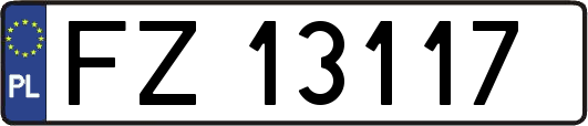 FZ13117