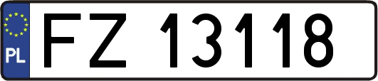 FZ13118