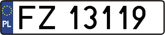 FZ13119