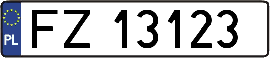 FZ13123