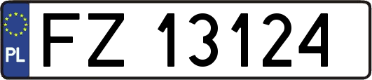 FZ13124