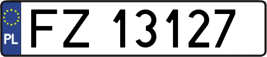 FZ13127