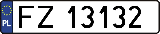 FZ13132