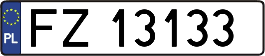 FZ13133