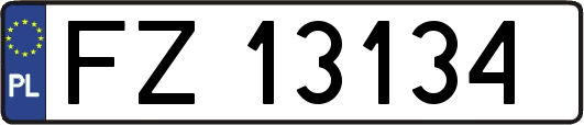 FZ13134