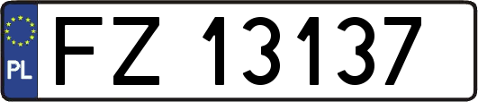 FZ13137