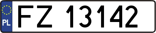FZ13142