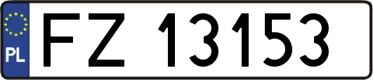 FZ13153