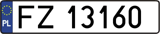FZ13160