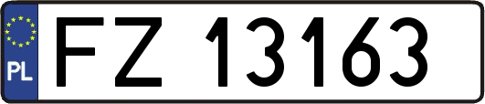 FZ13163