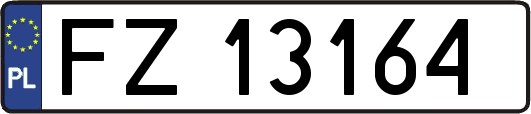 FZ13164