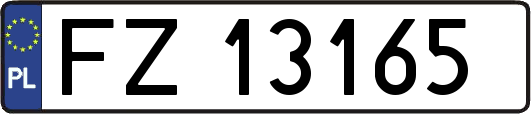 FZ13165