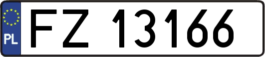 FZ13166