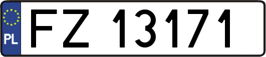FZ13171