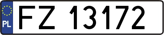 FZ13172