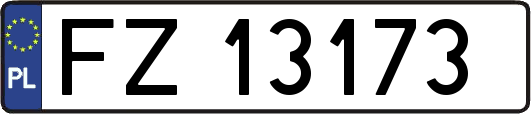 FZ13173