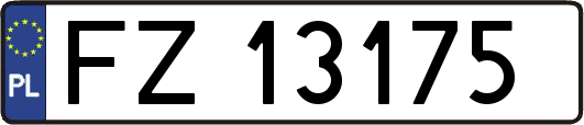 FZ13175