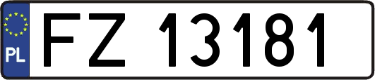FZ13181