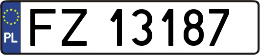 FZ13187