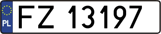 FZ13197