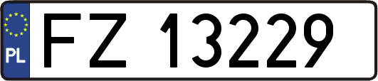 FZ13229