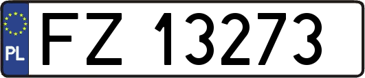 FZ13273