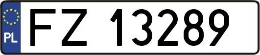 FZ13289