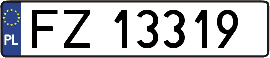 FZ13319