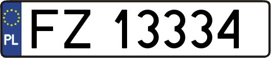 FZ13334