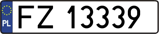 FZ13339