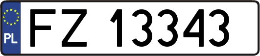 FZ13343
