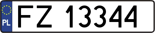 FZ13344