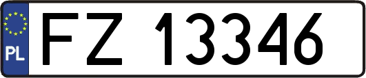 FZ13346