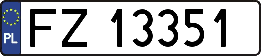 FZ13351
