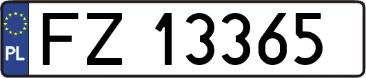 FZ13365
