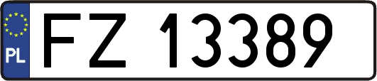 FZ13389