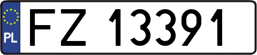 FZ13391